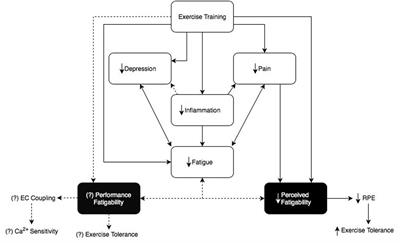 Perceived Versus Performance Fatigability in Patients With Rheumatoid Arthritis